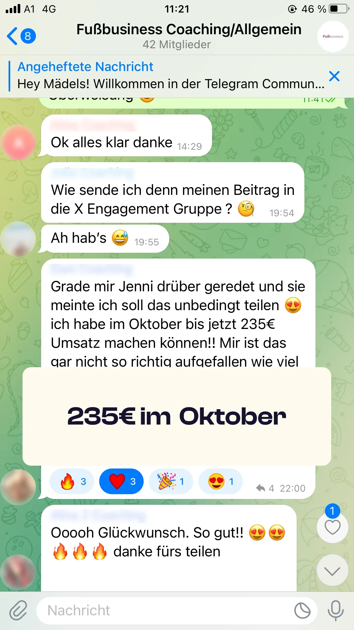 Chat-Screenshot einer Teilnehmerin: 235€ im Oktober