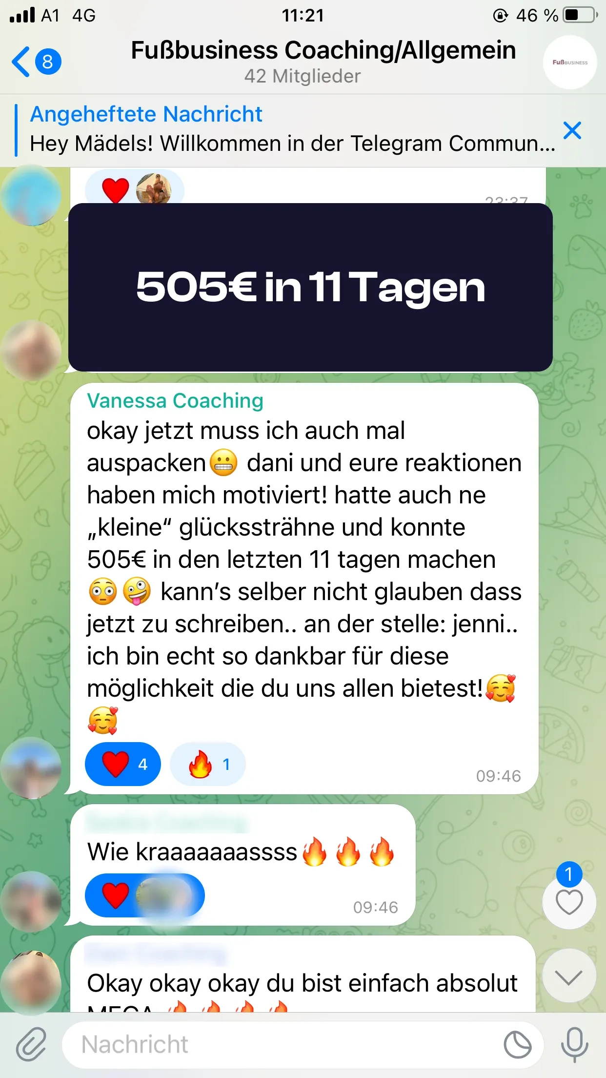 Chat-Screenshot einer Teilnehmerin: 505€ in 11 Tagen