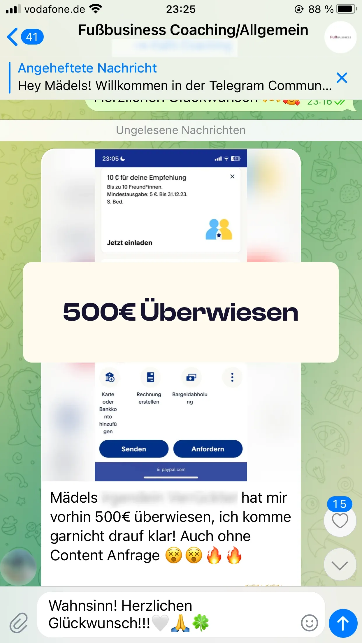 Chat-Screenshot einer Teilnehmerin: 500€ überwiesen